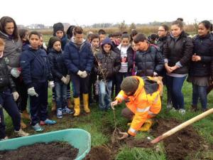 Una recente edizione della Festa dell'Albero a Novara