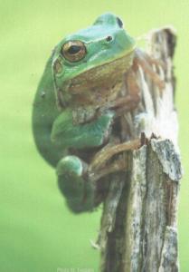 Uno scatto realizzato da Marco Tessaro